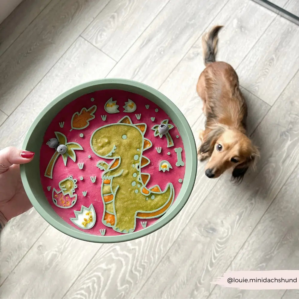 Silicone Slow Feed Puppy Dog Bowl - Dinopaws