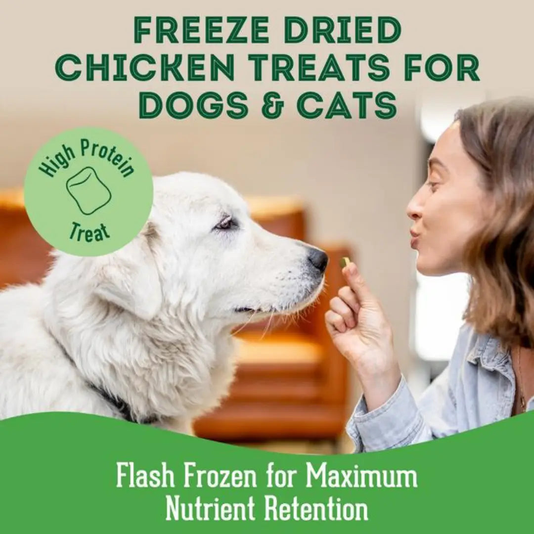 Chicken Freeze-Dried Pet Treats: Protein & Nutrient Rich - TOODIPET