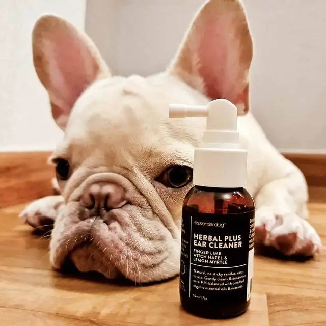 Herbal Dog Ear Cleaner (Finger Lime & Lemon Myrtle) - TOODIPET