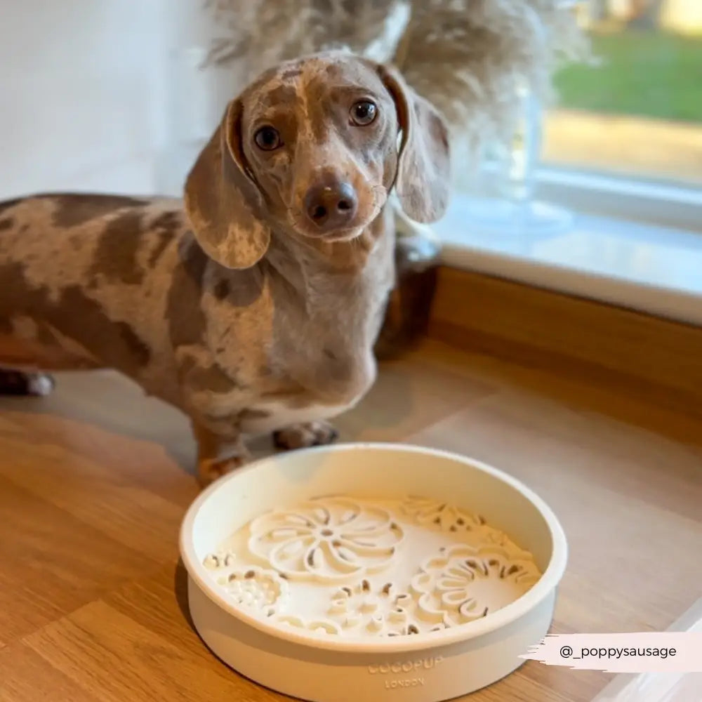 Silicone Slow Feed Puppy Dog Bowl - Cream Flowers