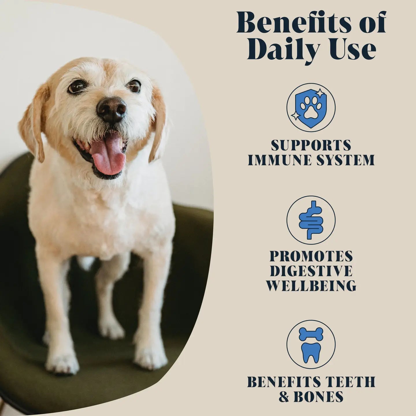 Goats Milk Powder For Dogs - TOODIPET