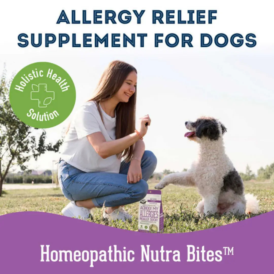 Dog Supplements- Allergy Support Dog Herbal Bites - TOODIPET