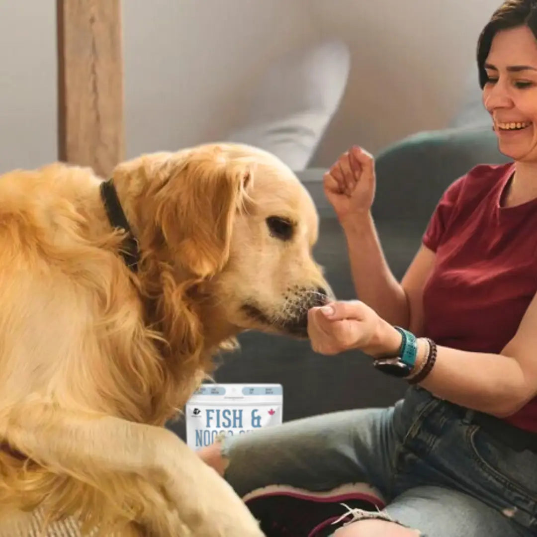 Cod Skin Dehydrated Pet Treats: High-Protein & Low-Calorie - TOODIPET