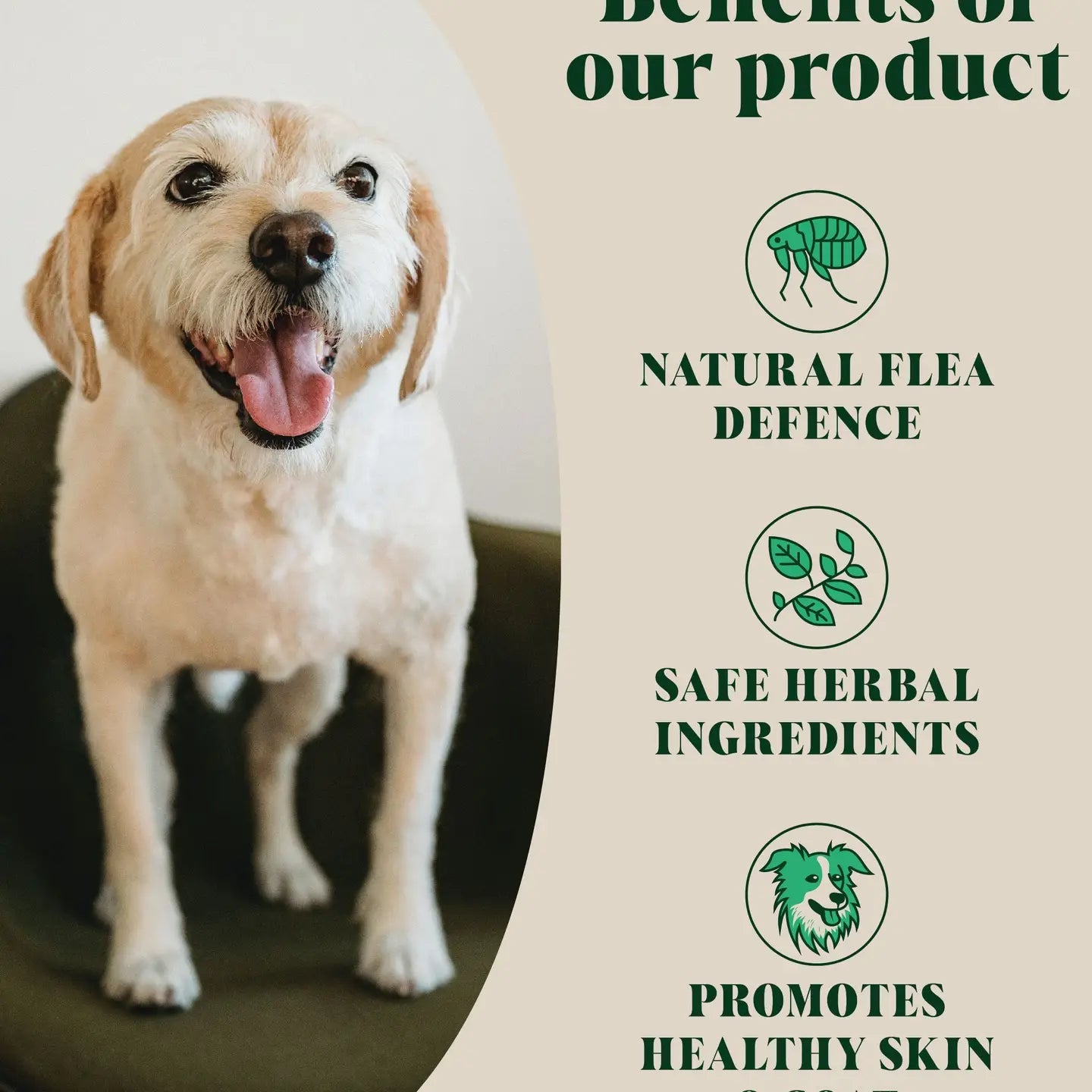 Natural Flea and Tick Powder Food For Dogs - TOODIPET
