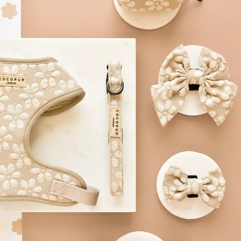 Luxe Puppy Collar - Mocha Flower