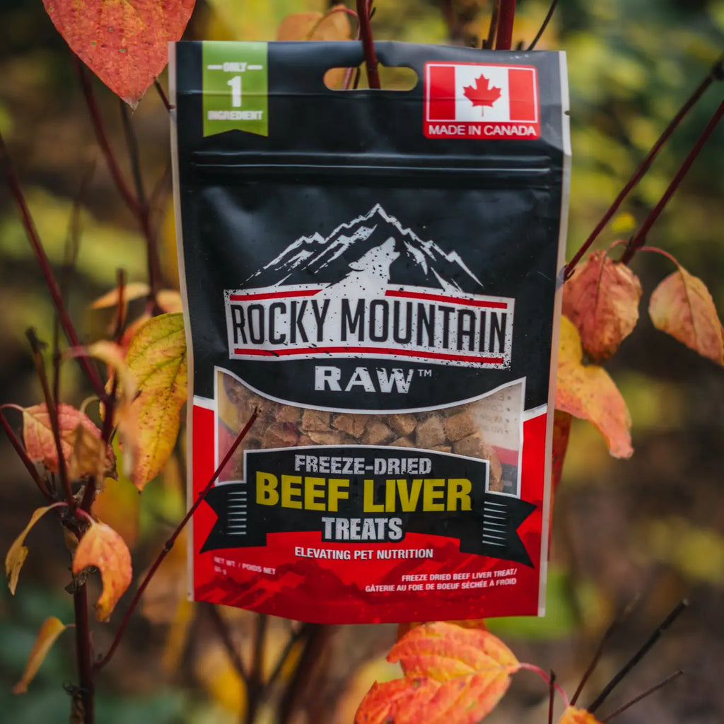 Freeze-Dried Beef Liver Treats - TOODIPET