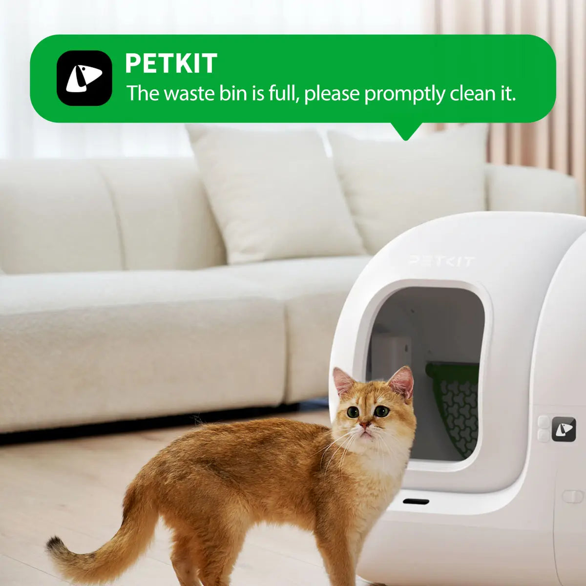 Litter Puramax 2