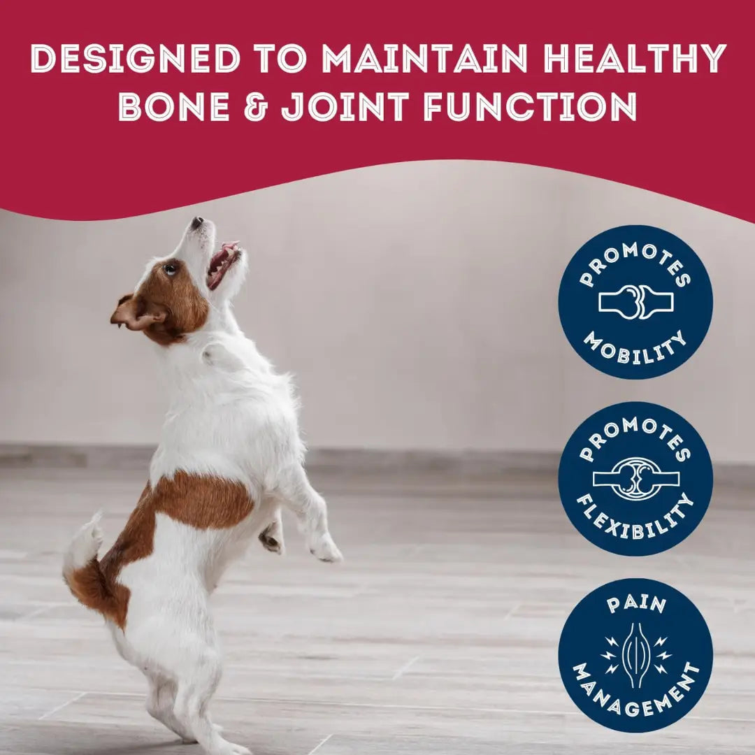 Dog Supplements- Joint & Bone Supplement Dog Herbal Bites - TOODIPET
