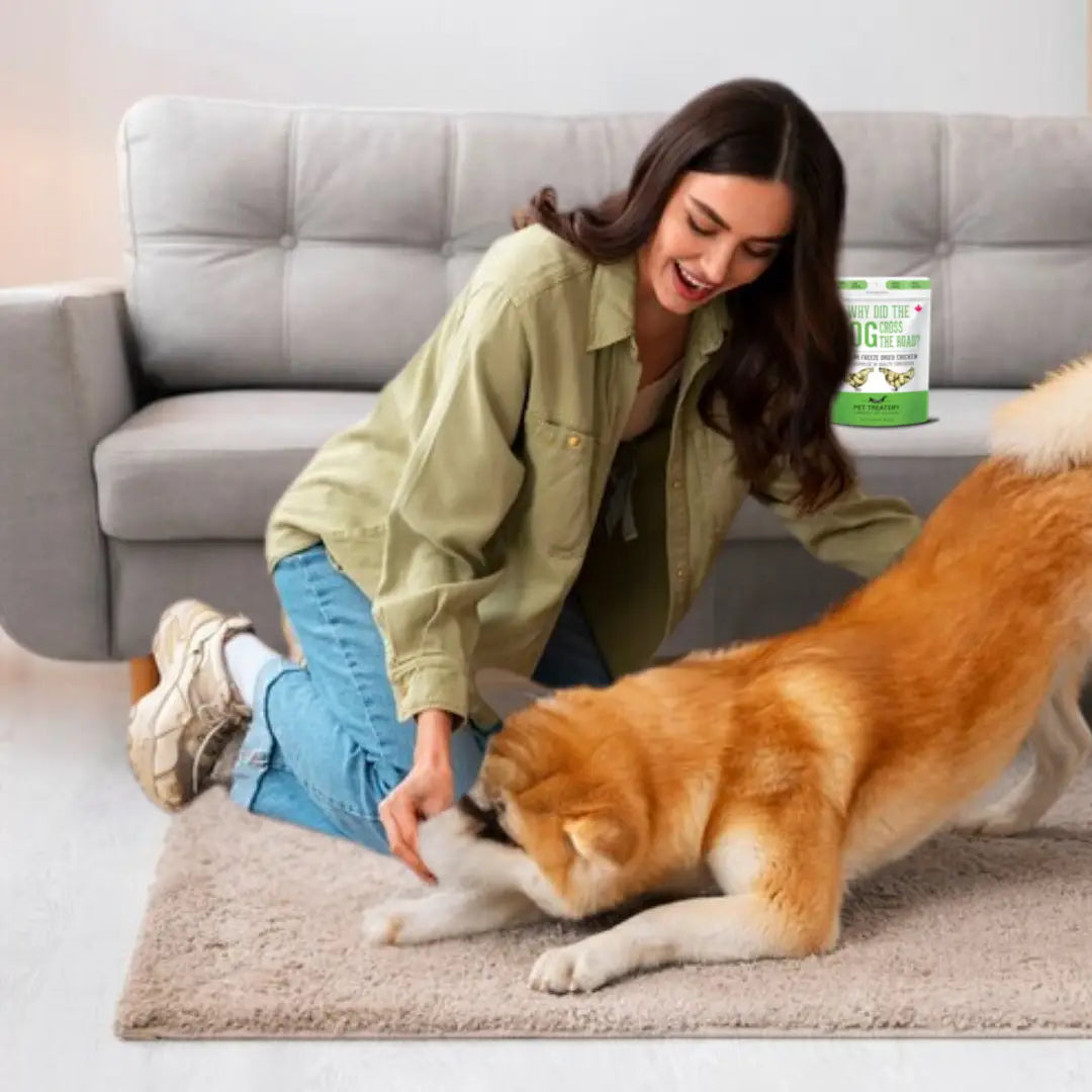 Chicken Freeze-Dried Pet Treats: Protein & Nutrient Rich - TOODIPET