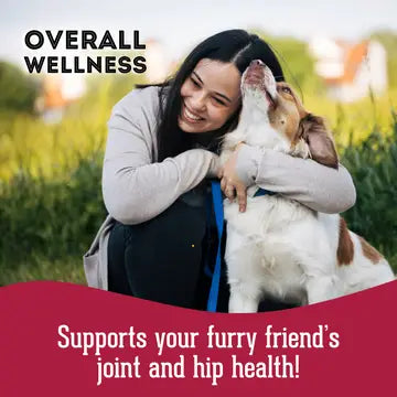 Soft & Chewy Supplement Hip & Joint Supplement For Dogs 150g - TOODIPET