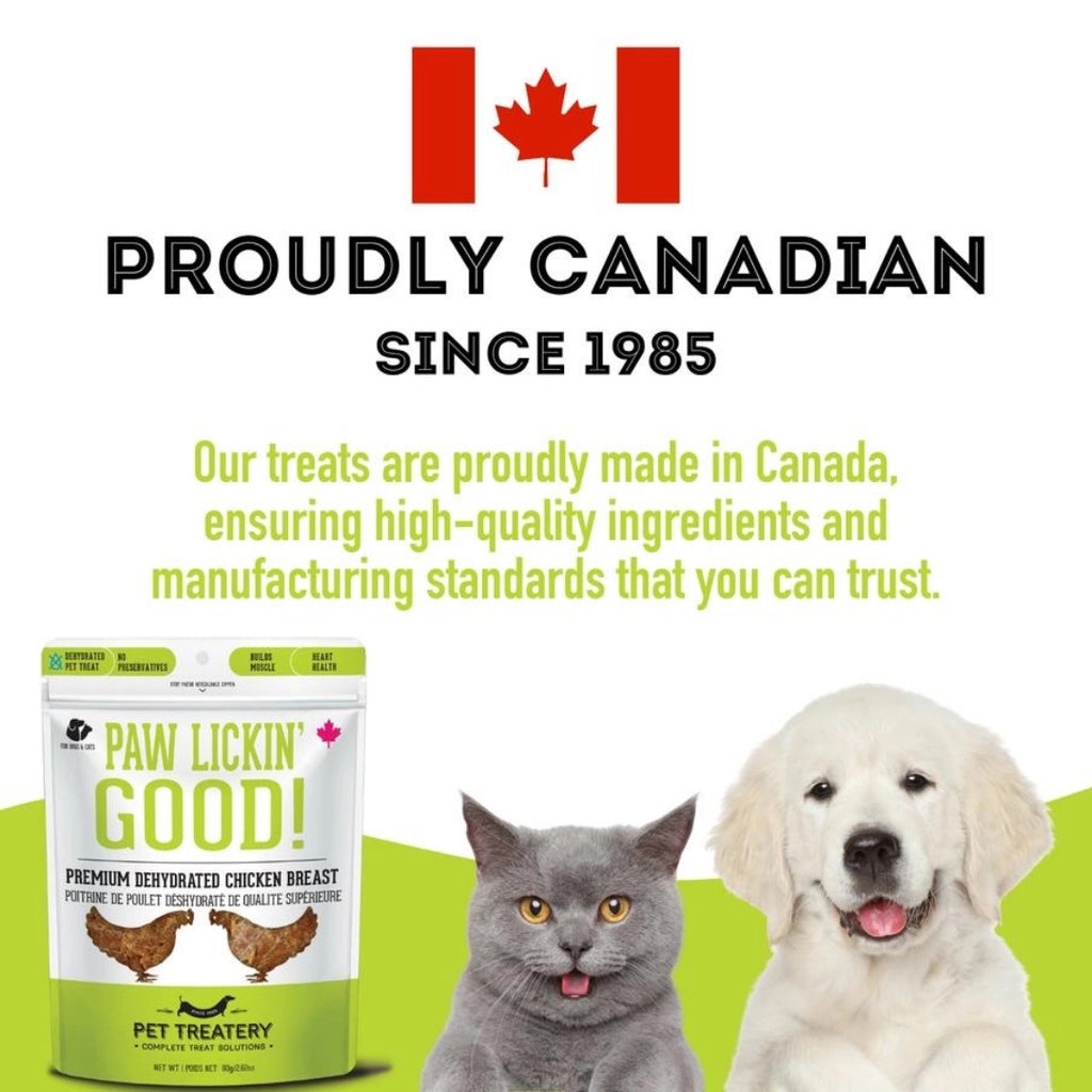 Chicken Breast Dehydrated Pet Treats: High-Protein & Vitamin - TOODIPET
