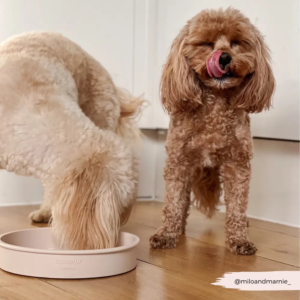 Silicone Slow Feed Puppy Dog Bowl - Baby Pink Flowers