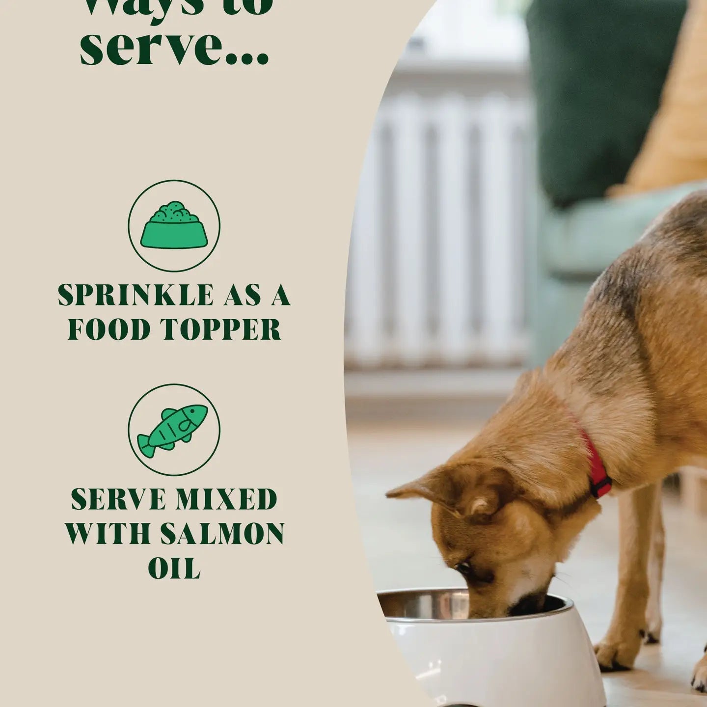 Natural Flea and Tick Powder Food For Dogs - TOODIPET