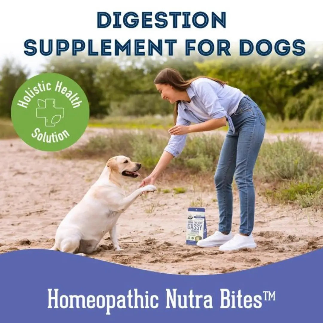 Dog Supplements- Digestion Supplement Herbal Bites - TOODIPET