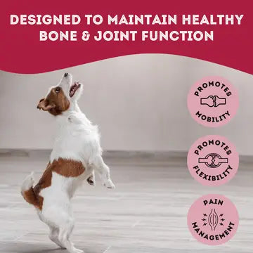 Soft & Chewy Supplement Hip & Joint Supplement For Dogs 150g - TOODIPET