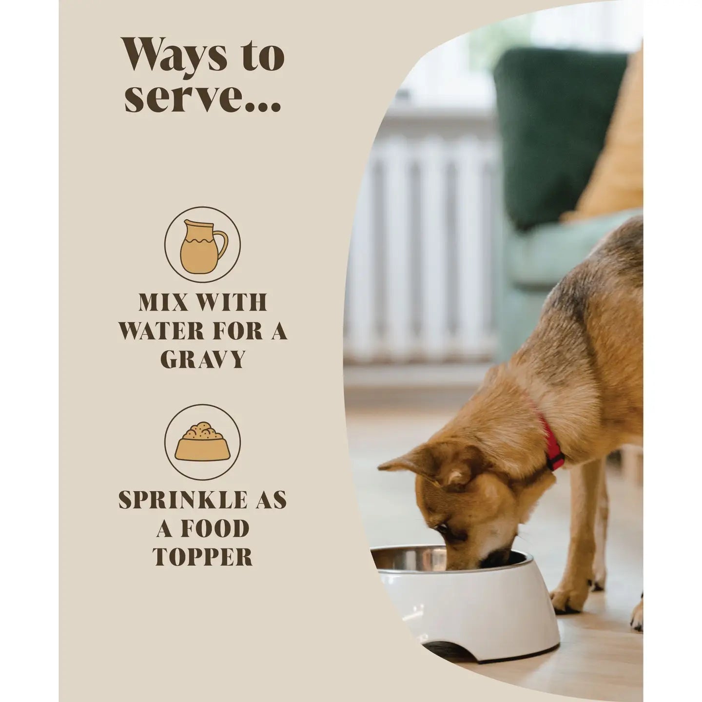 Bone Broth For Dogs - TOODIPET