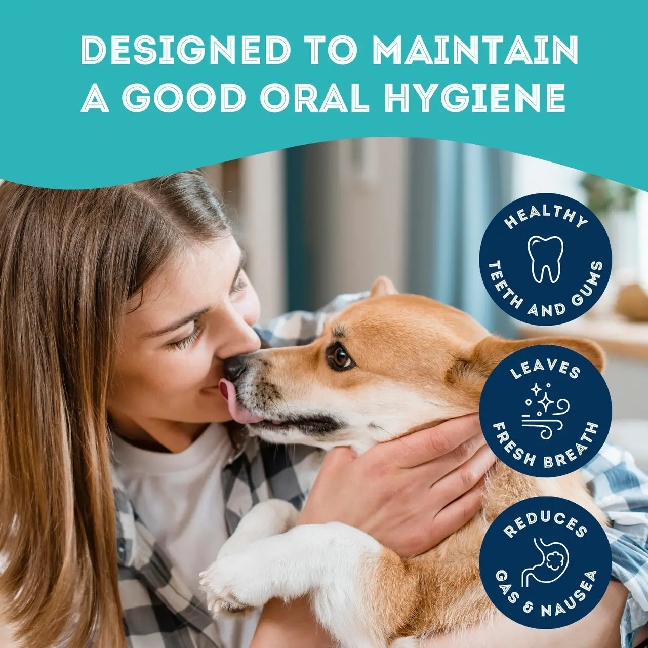 Dog Supplements- Oral Health Supplement Dog Herbal Bites - TOODIPET
