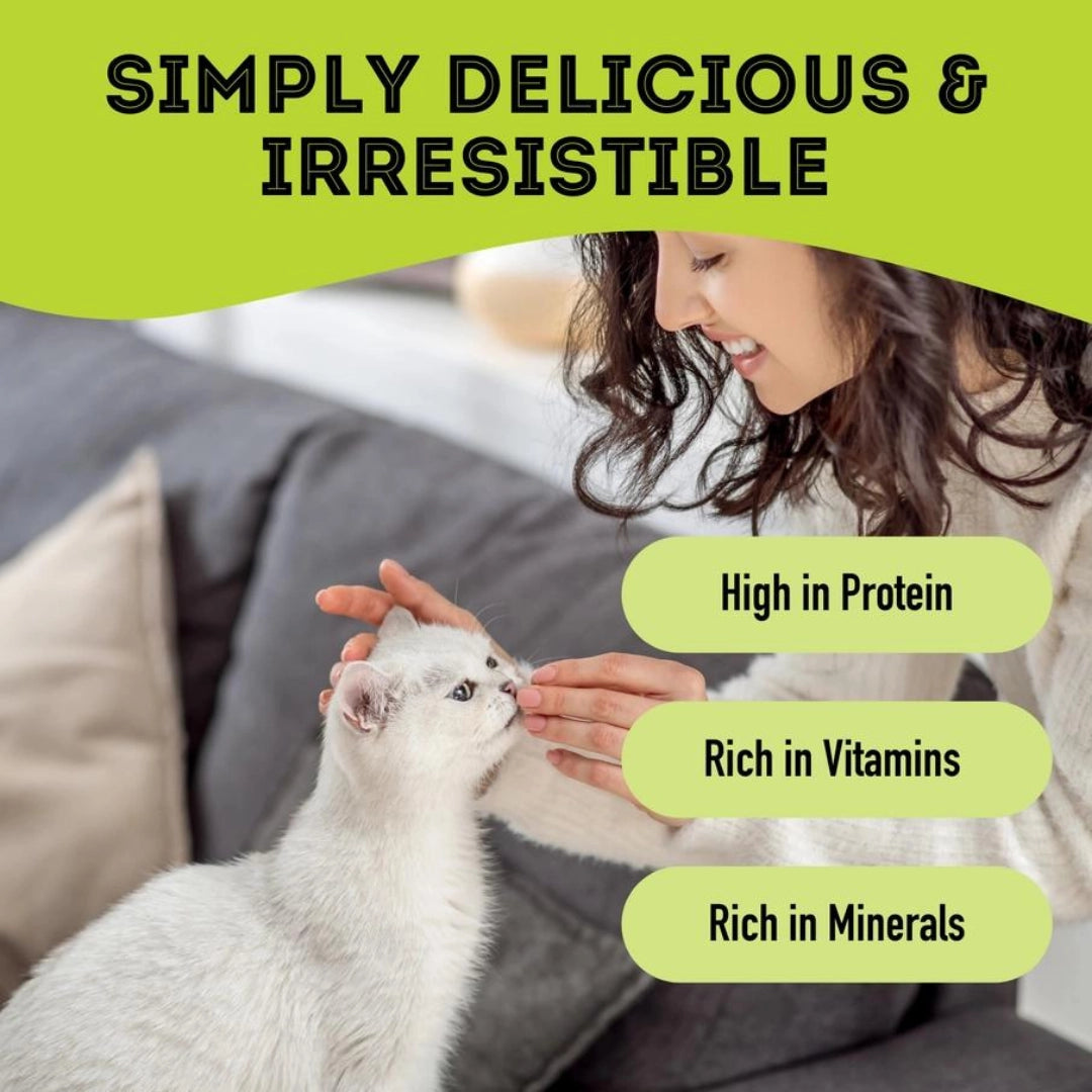 Chicken Breast Dehydrated Pet Treats: High-Protein & Vitamin - TOODIPET