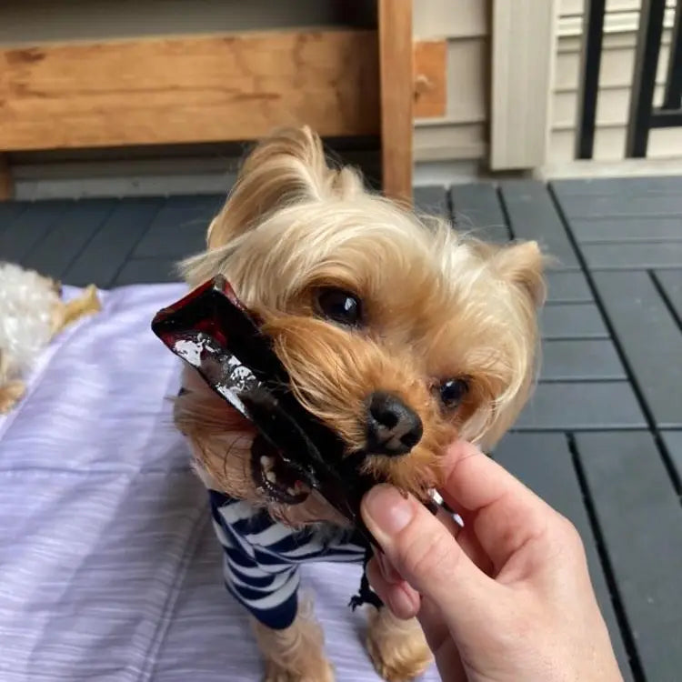Mighty Marrows - Collagen Dental Chews Beef bone - TOODIPET