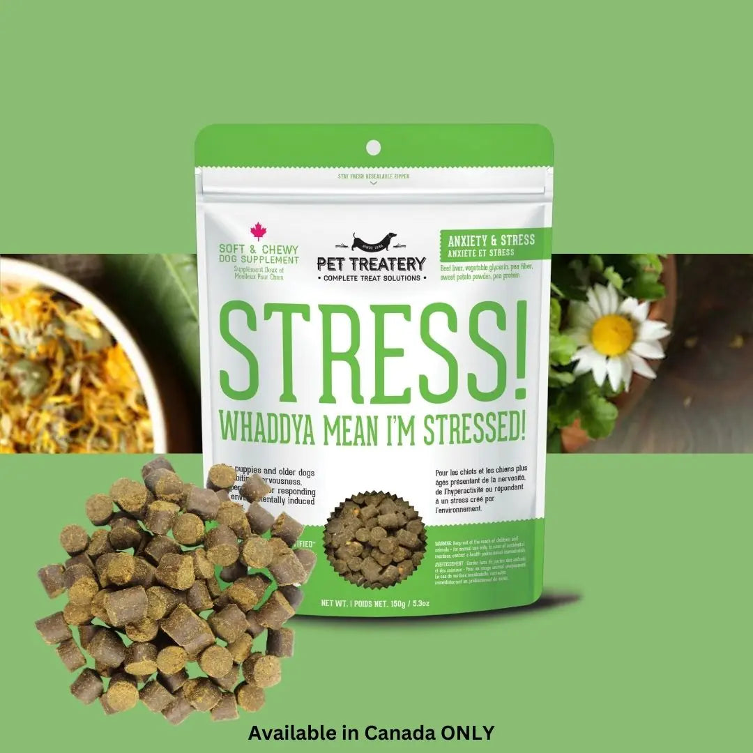 Soft & Chewy Supplement Calming Supplement For Dogs 150g - TOODIPET