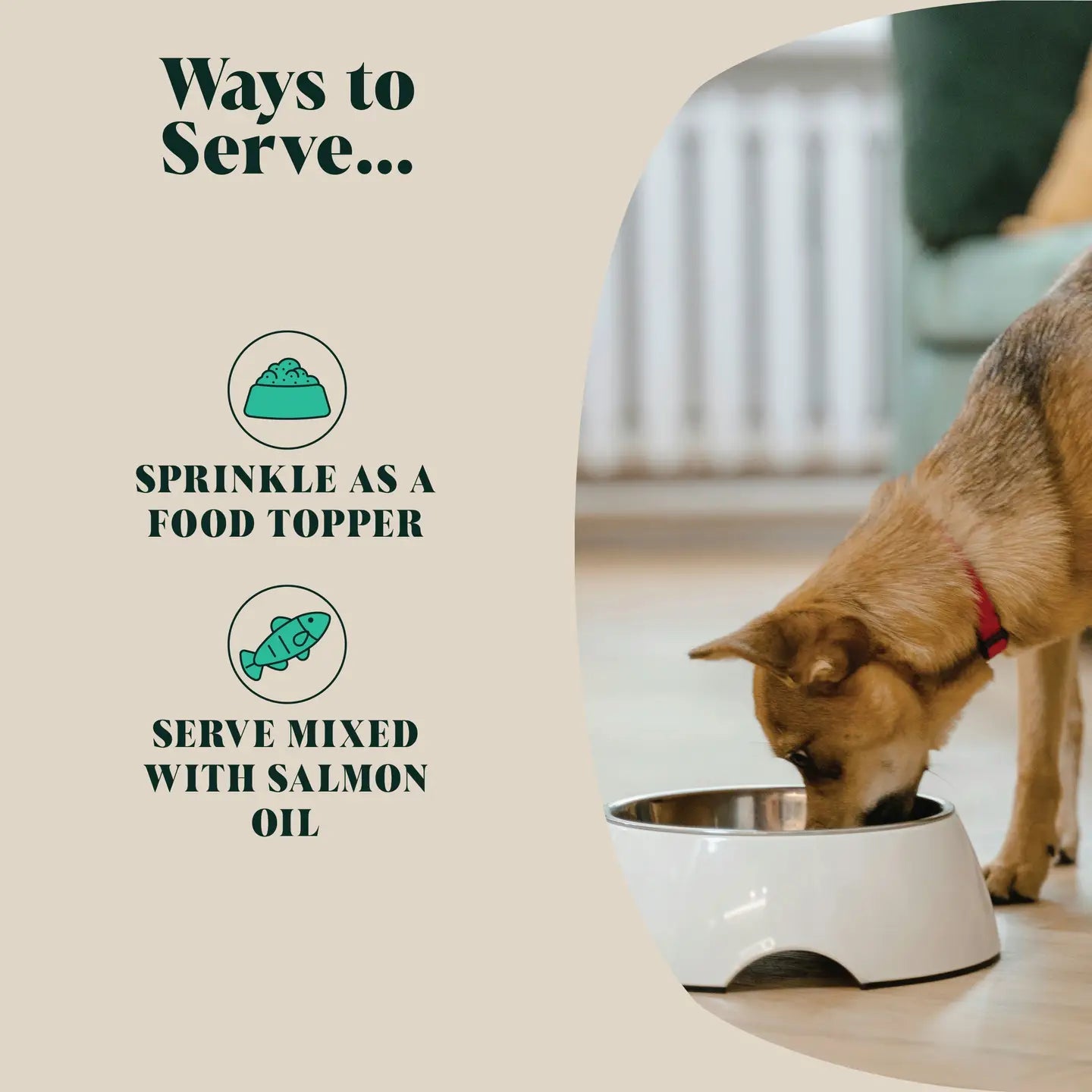 Green Lipped Mussel Powder Food For Dogs - TOODIPET