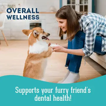 Dog Supplements- Oral Health Supplement Dog Herbal Bites - TOODIPET