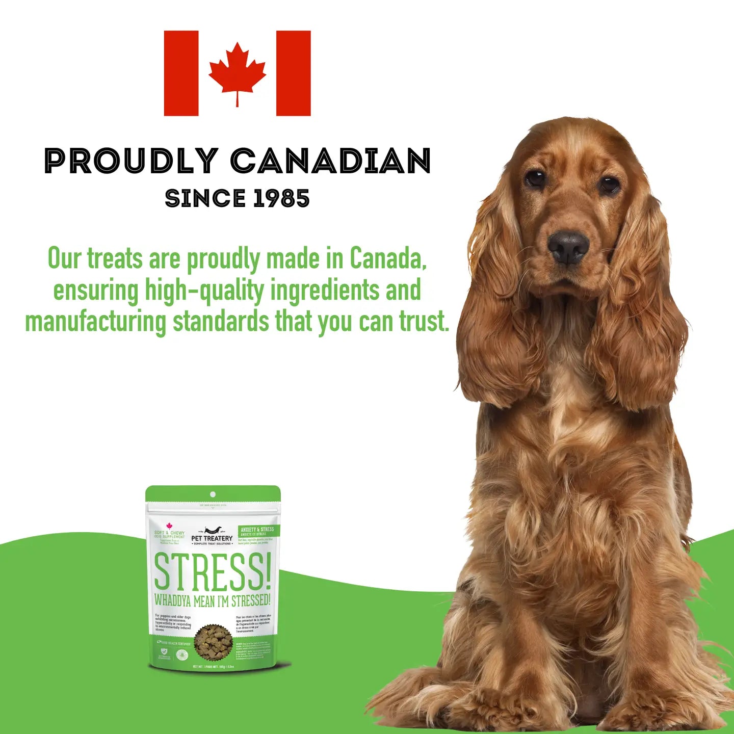 Soft & Chewy Supplement Calming Supplement For Dogs 150g - TOODIPET