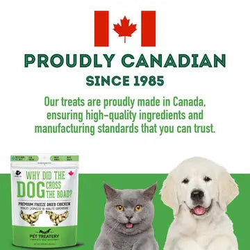 Chicken Freeze-Dried Pet Treats: Protein & Nutrient Rich - TOODIPET