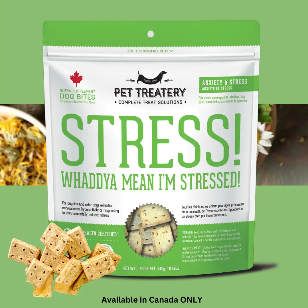 Dog Supplements-Stress & Anxiety Supplement Dog Herbal Bites - TOODIPET