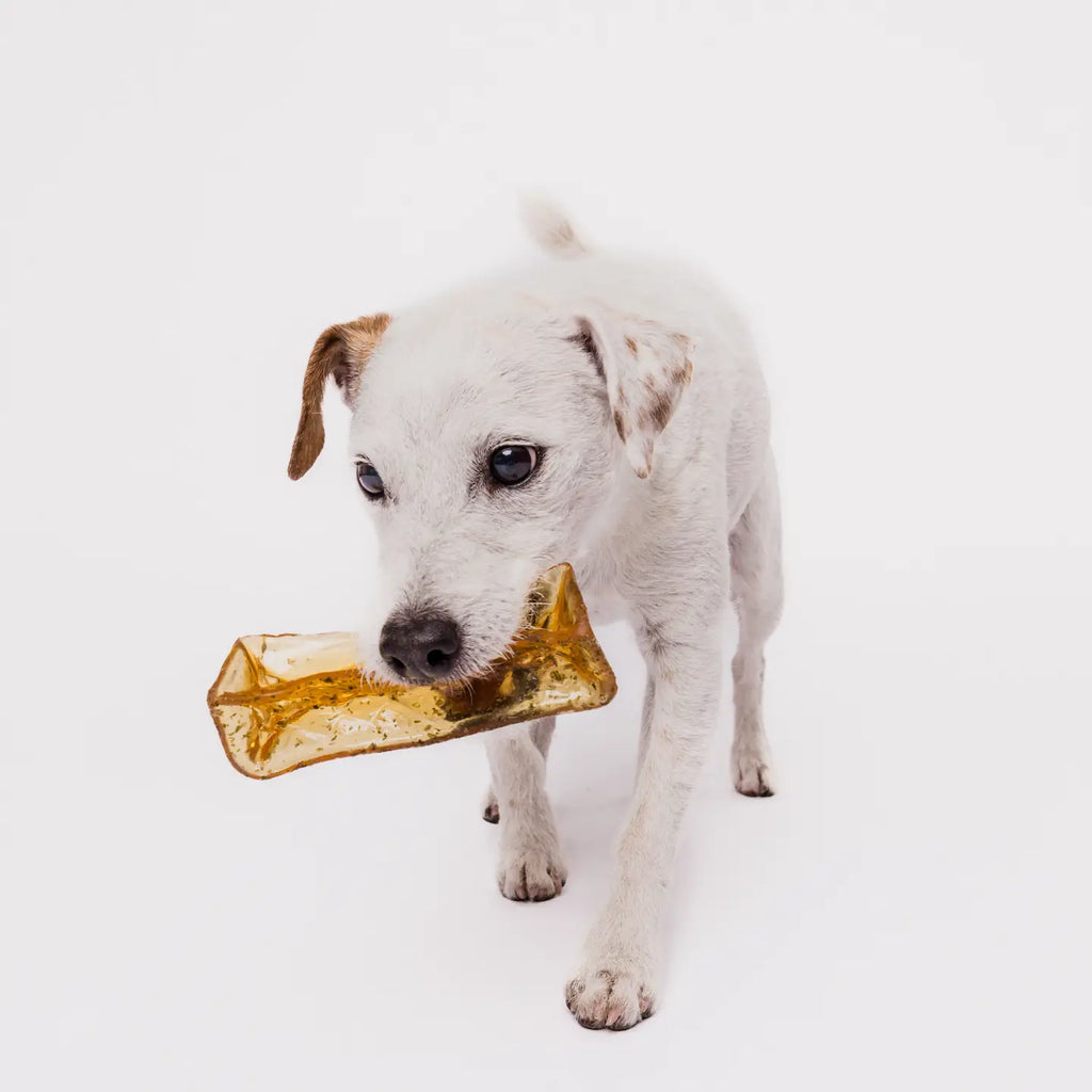 Mighty Marrows - Collagen Dental Chews Pork puppy bone - TOODIPET