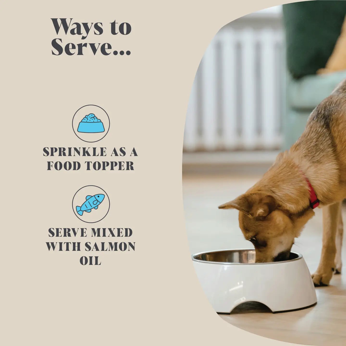 Single Pack | Plaque Seaweed Powder Food For Dogs | 80 Servings - TOODIPET