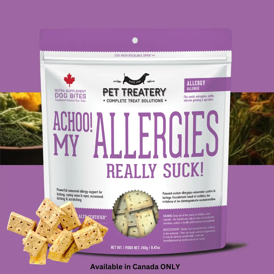 Dog Supplements- Allergy Support Dog Herbal Bites - TOODIPET