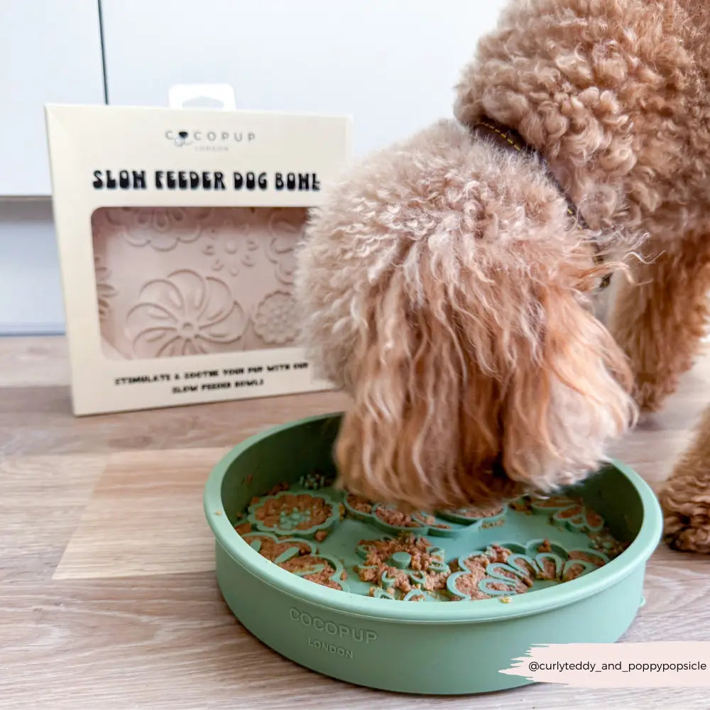 Silicone Slow Feed Puppy Dog Bowl - Baby Pink Flowers