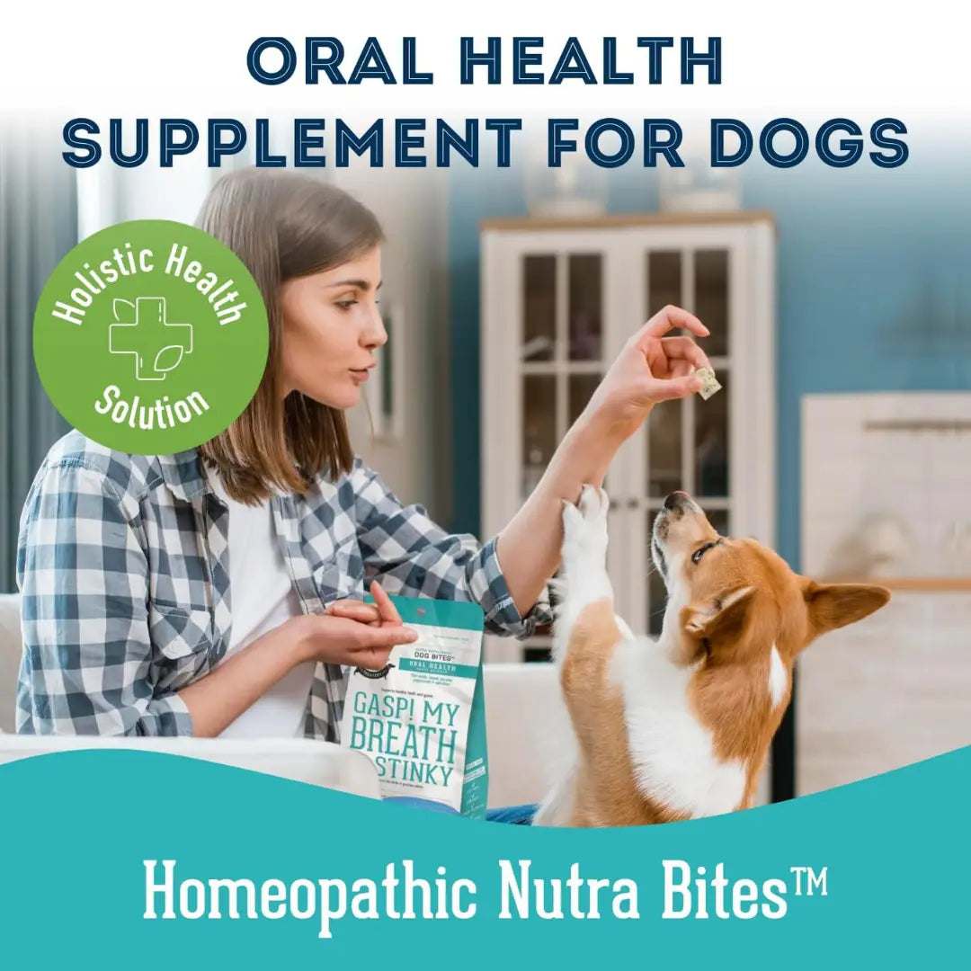 Dog Supplements- Oral Health Supplement Dog Herbal Bites - TOODIPET