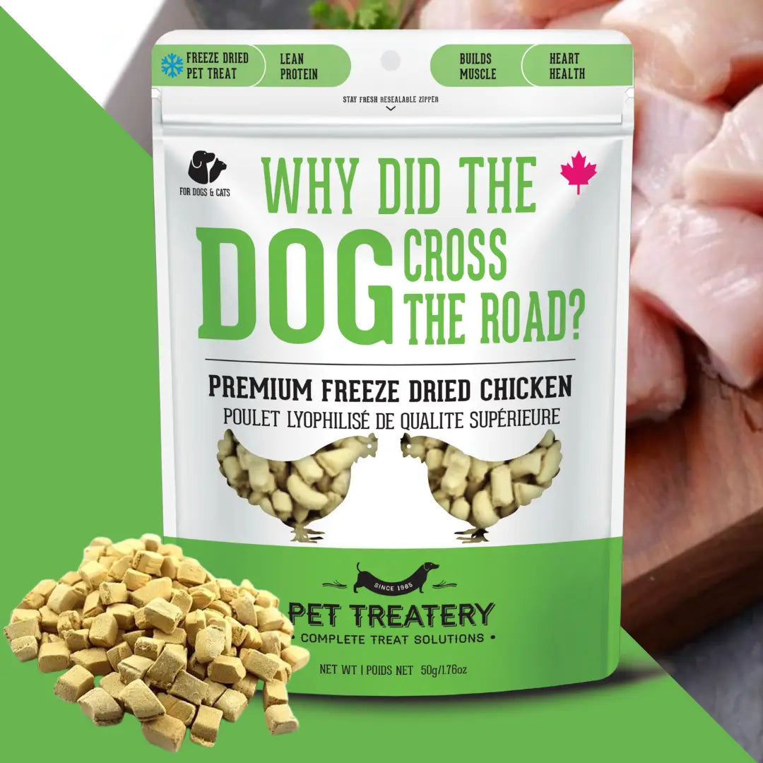 Chicken Freeze-Dried Pet Treats: Protein & Nutrient Rich - TOODIPET