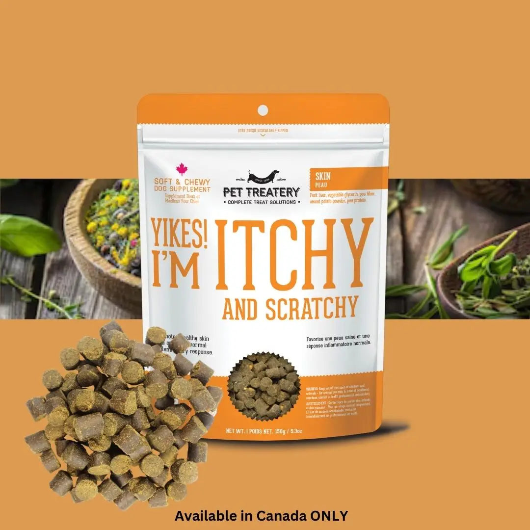 Soft & Chewy Supplement- Skin & Coat For Dogs 150g - TOODIPET