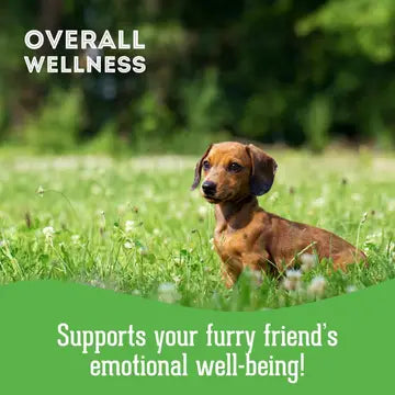 Dog Supplements-Stress & Anxiety Supplement Dog Herbal Bites - TOODIPET