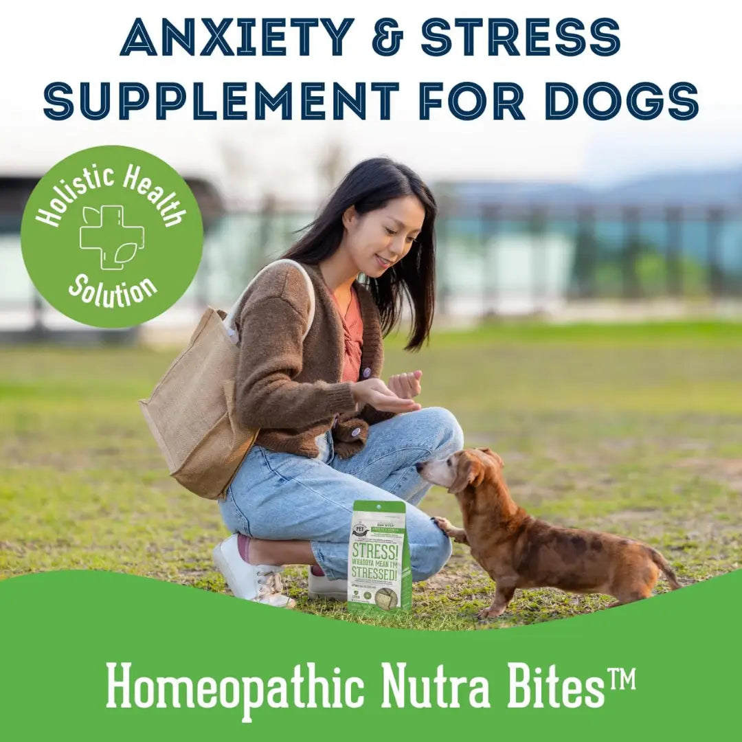 Dog Supplements-Stress & Anxiety Supplement Dog Herbal Bites - TOODIPET