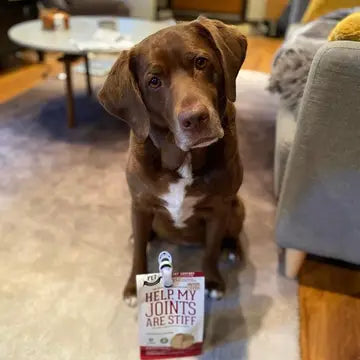 Dog Supplements- Joint & Bone Supplement Dog Herbal Bites - TOODIPET